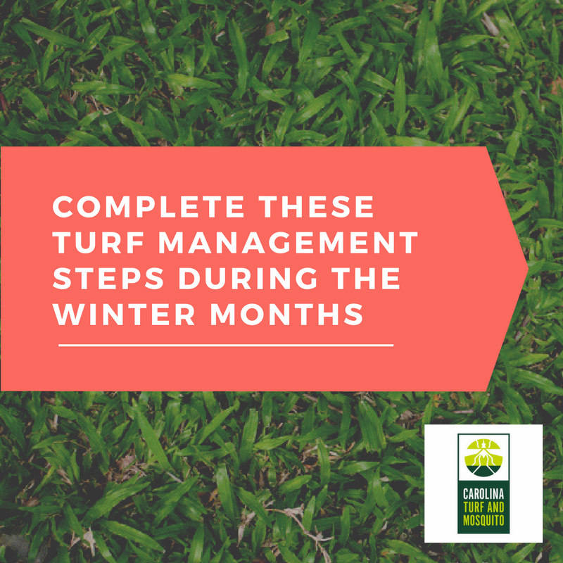 complete-these-turf-management-steps-during-the-winter-months_resized