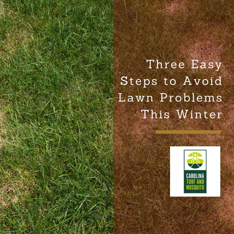 three-easy-steps-to-avoid-lawn-problems-this-winter_resized