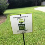 Lawn Weed Control Service in Weddington, North Carolina