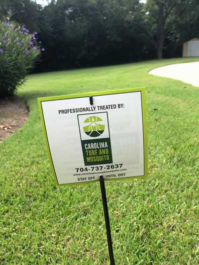 Lawn Weed Control Service in Charlotte, North Carolina