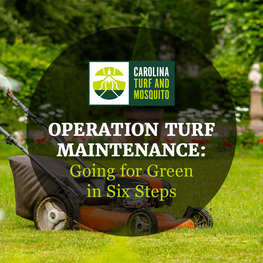 Operation Turf Maintenance: Going for Green in Six Steps