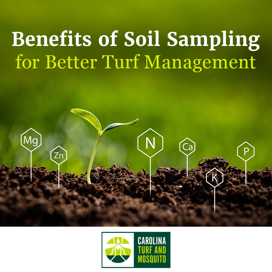 Benefits of Soil Sampling for Better Turf Management