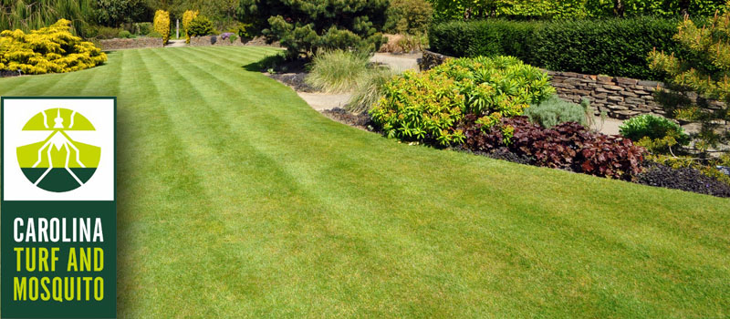 Lawn Care, Waxhaw, North Carolina