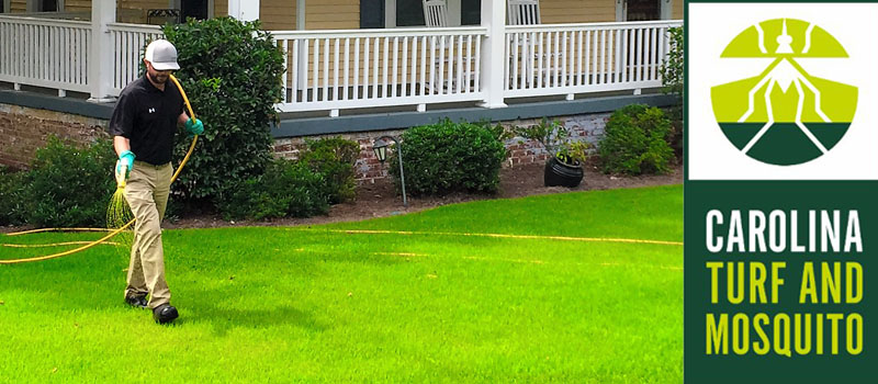Lawn Maintenance in Charlotte, North Carolina