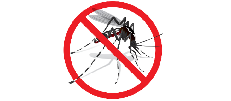 Kill Mosquitos in Charlotte, North Carolina