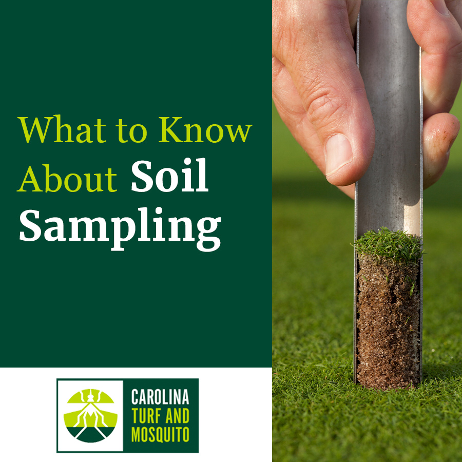 What You Should Know About Soil Sampling for Your Lawn