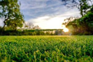 Lawn Care in Charlotte, NC