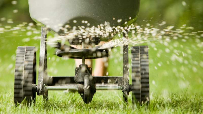 It is a good idea to hire a professional turf company for lawn fertilization