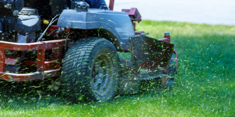 benefit of hiring a professional lawn care service