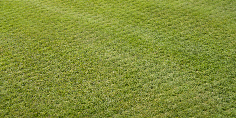Selecting a company for your turf aeration services