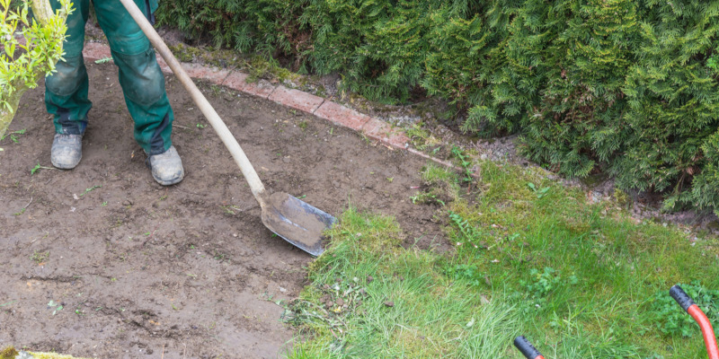 Lawn reseeding is a simple process