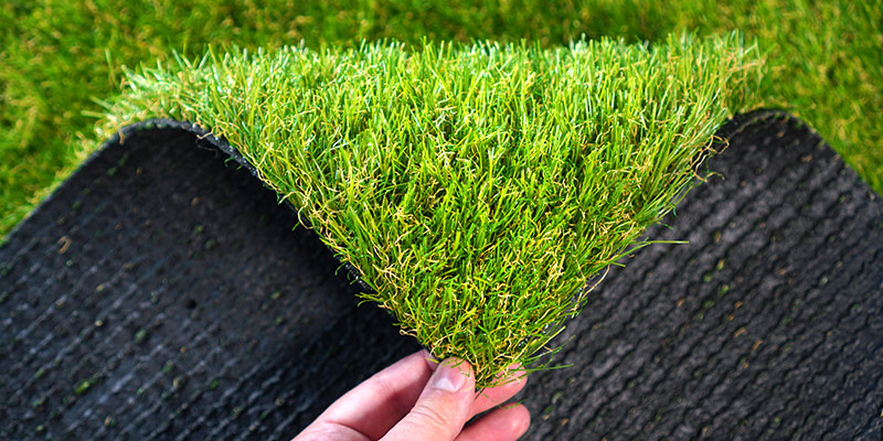 Common Turf Problems and How to Avoid Them