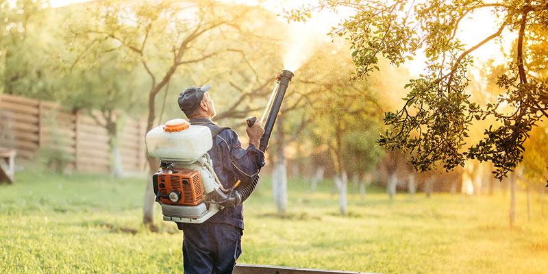 3 Benefits of Professional Mosquito Control Services
