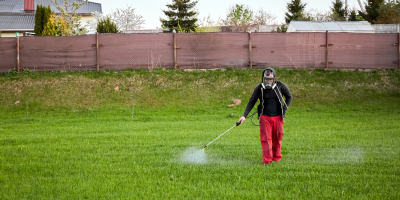 Benefits of our Lawn Weed Control Services