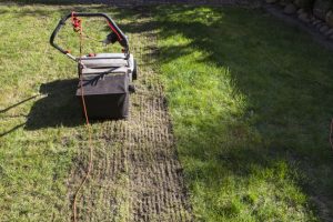 How to Tell if You Need Lawn Aeration Services