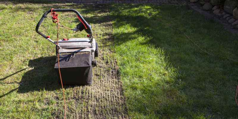 How to Tell if You Need Lawn Aeration Services
